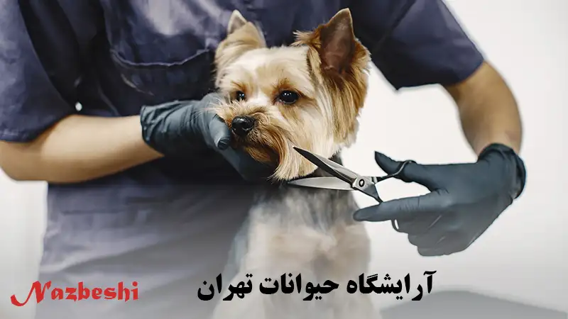 آرایشگاه حیوانات تهران