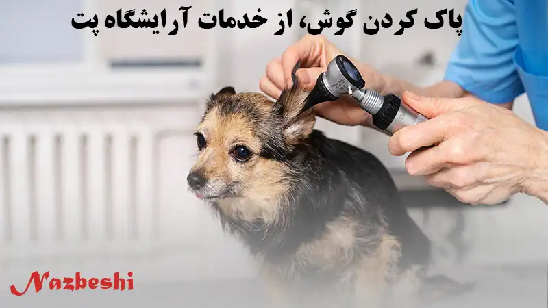 پاک کردن گوش حیوانات خانگی