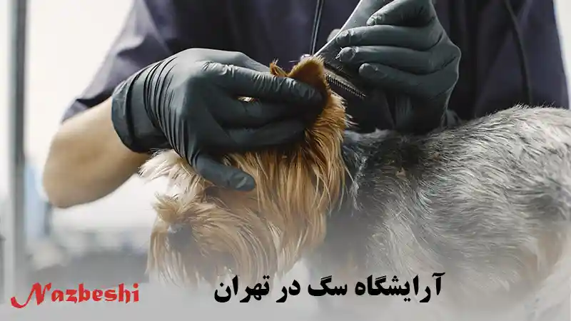 آرایشگاه سگ در تهران