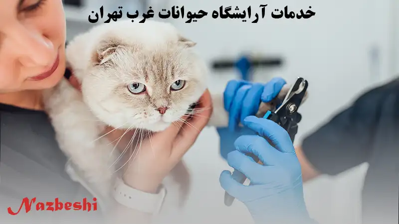 خدمات آرایشگاه حیوانات غرب تهران