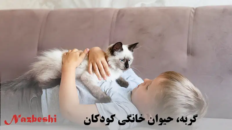 گربه، حیوان خانگی کودکان
