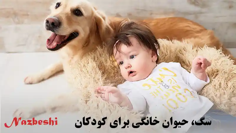 سگ، حیوان خانگی برای کودکان