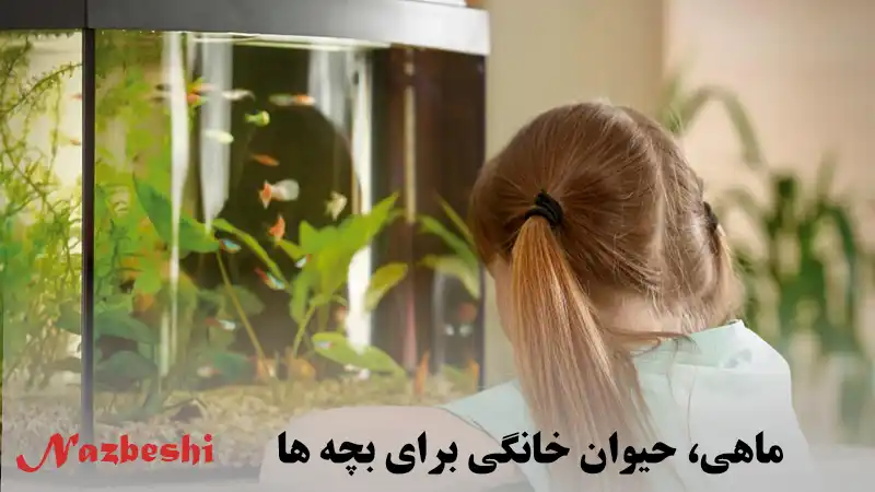 ماهی، حیوان خانگی برای بچه ها