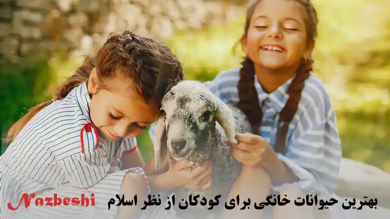 بهترین حیوانات خانگی برای کودکان از نظر اسلام