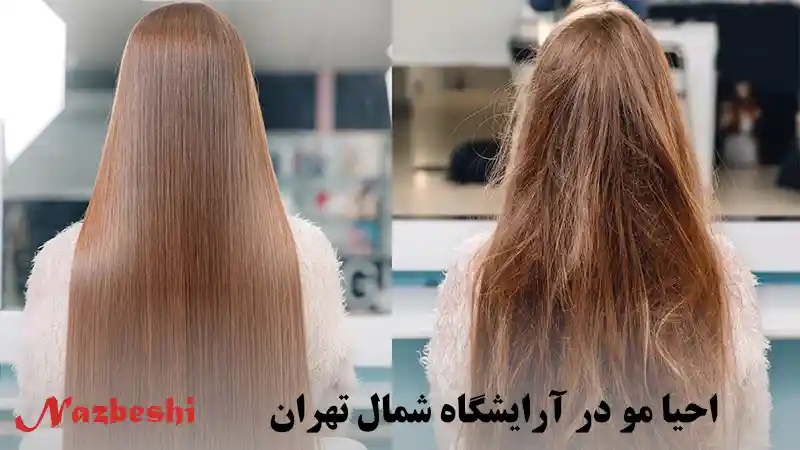 احیا مو در آرایشگاه شمال تهران